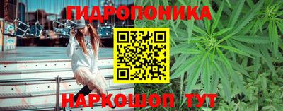 гидропоника Обнинск