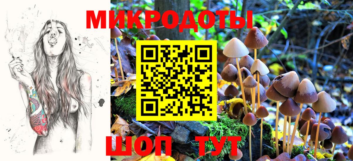 Туймазы  Псилоцибиновые грибы GOLDEN TEACHER  цена   Вход с VPN 